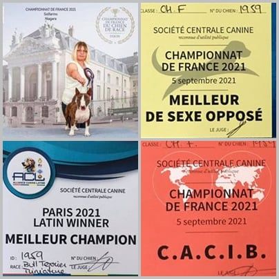 Solfarino - ?? DOUBLE CHAMPIONNAT DE FRANCE DU CHIEN DE RACE 2021 ?? Jour 2 ( 