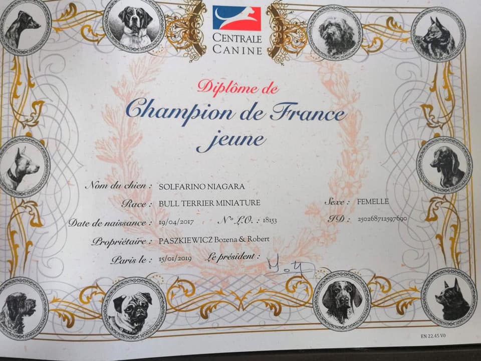 Solfarino - NIAGARA - Jeune Championne de FRANCE!!!