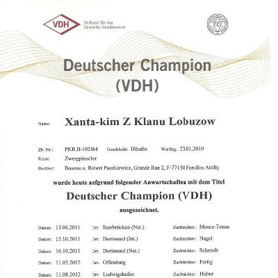 Solfarino - Kim est Champion d'Allemagne