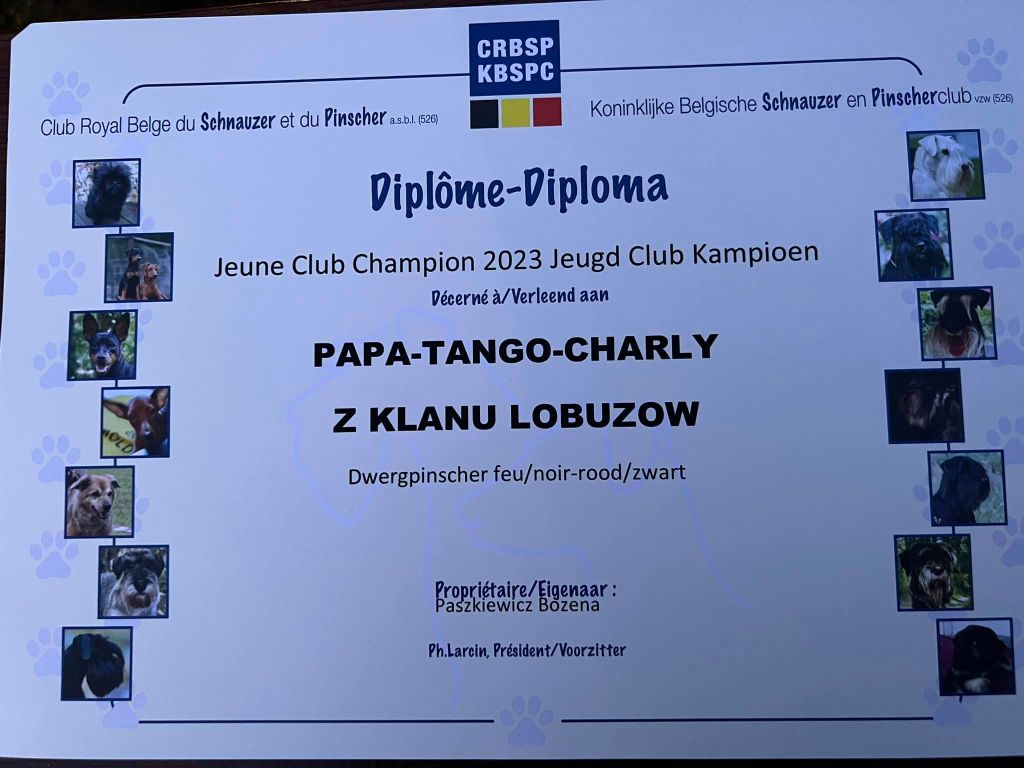 Papa-tango-charly Z Klanu Lobuzow