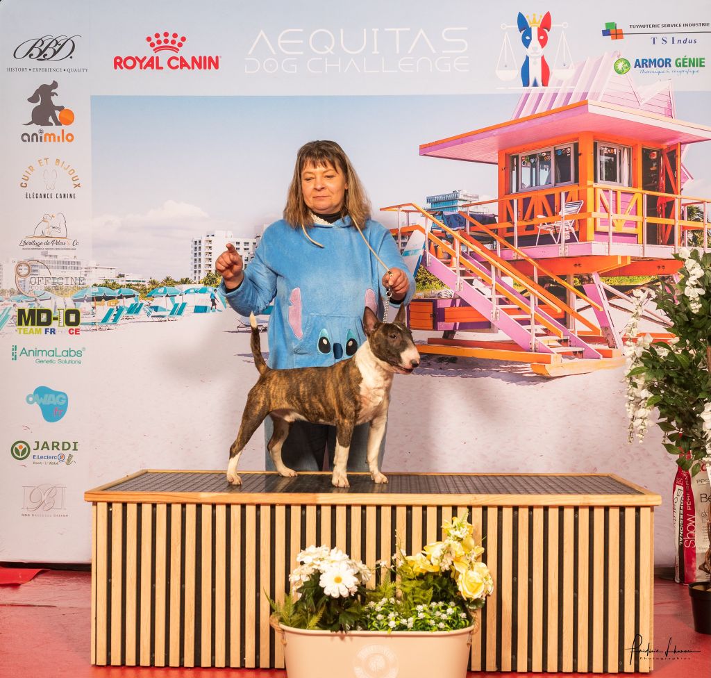 bulloholic Cute miki mouse