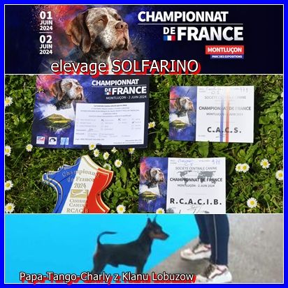 Solfarino - CHAMPIONNAT DE FRANCE 2024