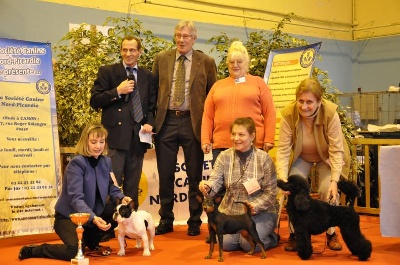 Solfarino -  II° BEST in SHOW  PUPPY- Solfarino Good For Me-