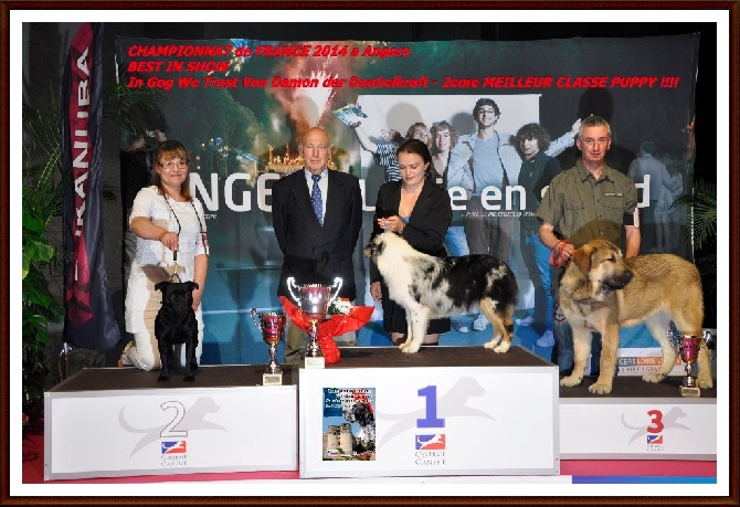 Solfarino - Best in Show - Championnat de France 2014
