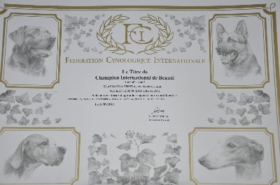 Solfarino - "Champion International de Beauté" - Slavjanka Fiesta !!!!! &#9829; &#9829; &#9829;