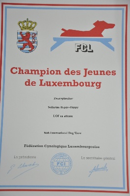 Solfarino - "Champion Junior du Luxembourg"