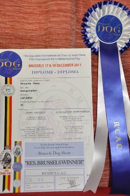 Solfarino -  Slavjanka Fiesta - 1 Excellent ; ResC- Brussels Dog Show 17&18/12/201