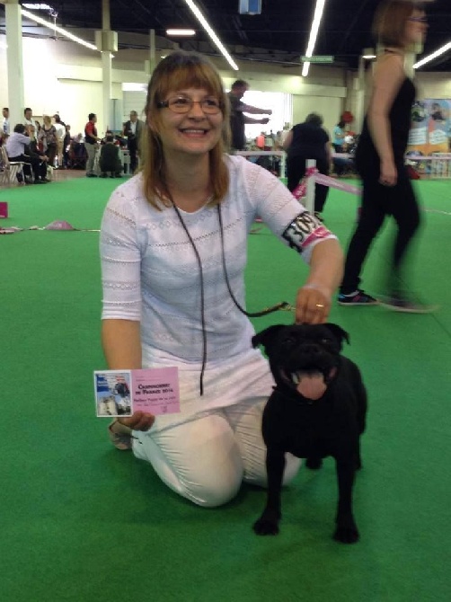 Solfarino - MEILLEUR PUPPY a Championnat de France 2014