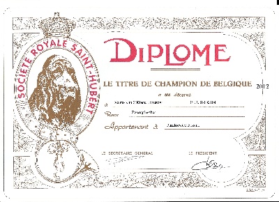 Solfarino - Kim  est "Champion de Belgique"