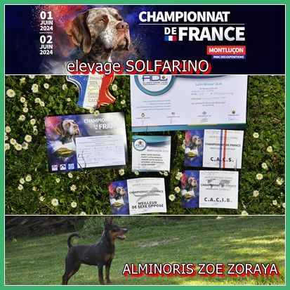 Solfarino - CHAMPIONNAT DE FRANCE 2024