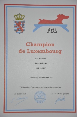 Solfarino - Slavjanka Fiesta -CHAMPION de LUXEMBOURG